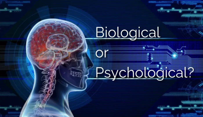 biological-or-psychological-models-of-mental-health