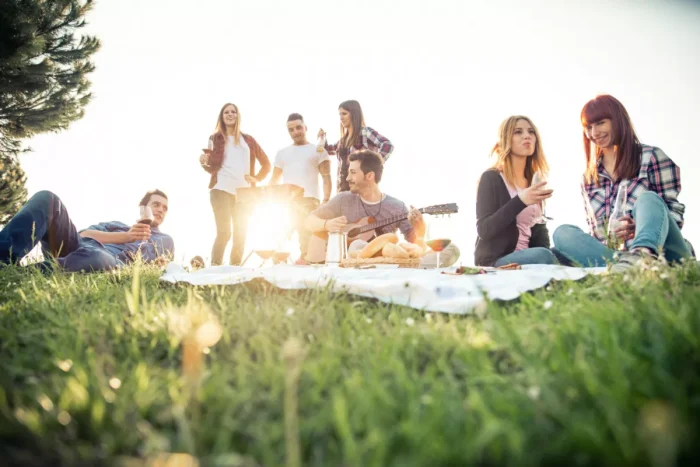 Group of friends having a countryside picnic